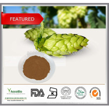 Humulus lupulus 100% naturel, poudre d&#39;extrait de houblon, extrait de fleur de houblon 5% Xanthohumol